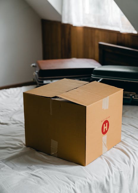 https://manwithvanrainham.co.uk/blog/sameday-moves-in-rm13-can-we-relocate-today/
